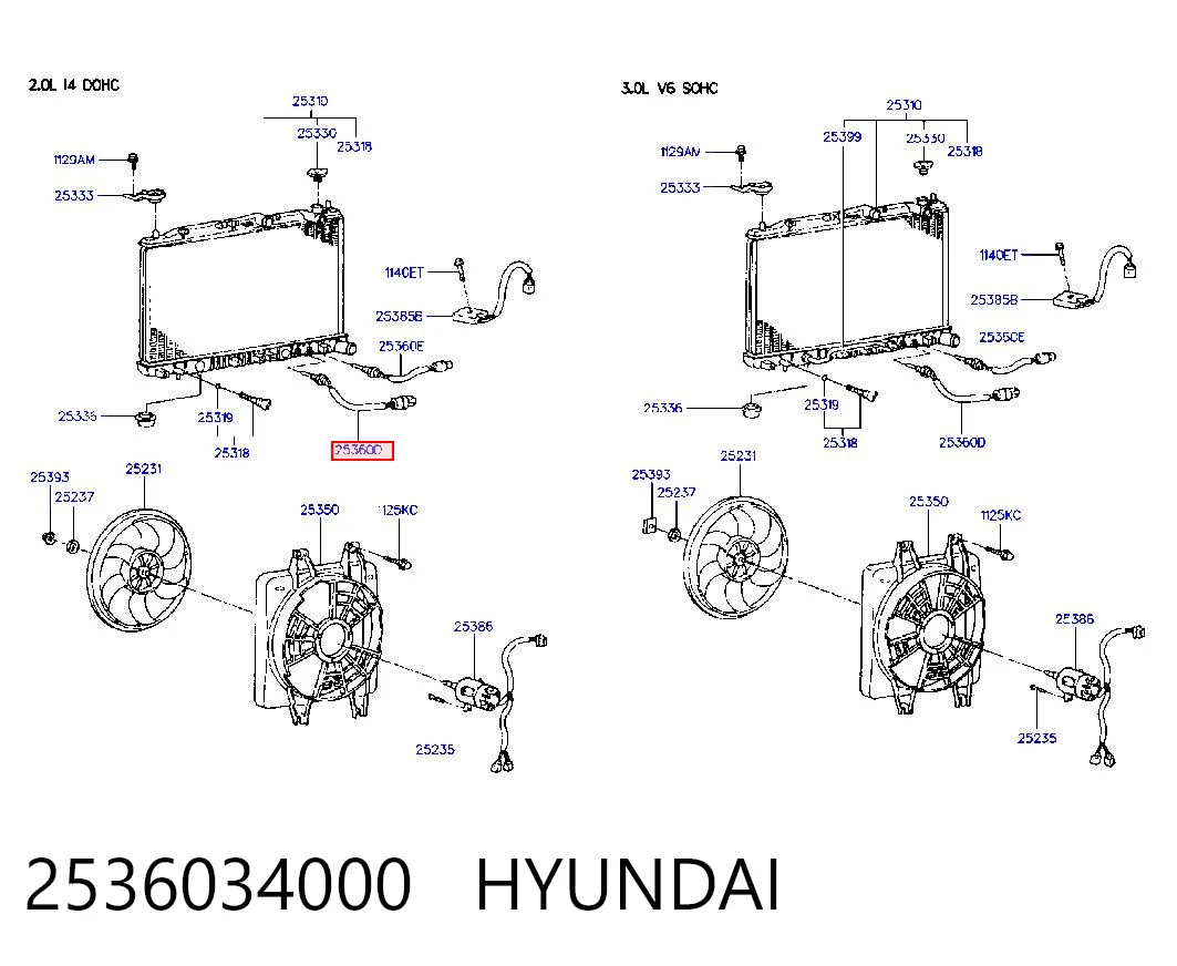 2536034000 Hyundai/Kia