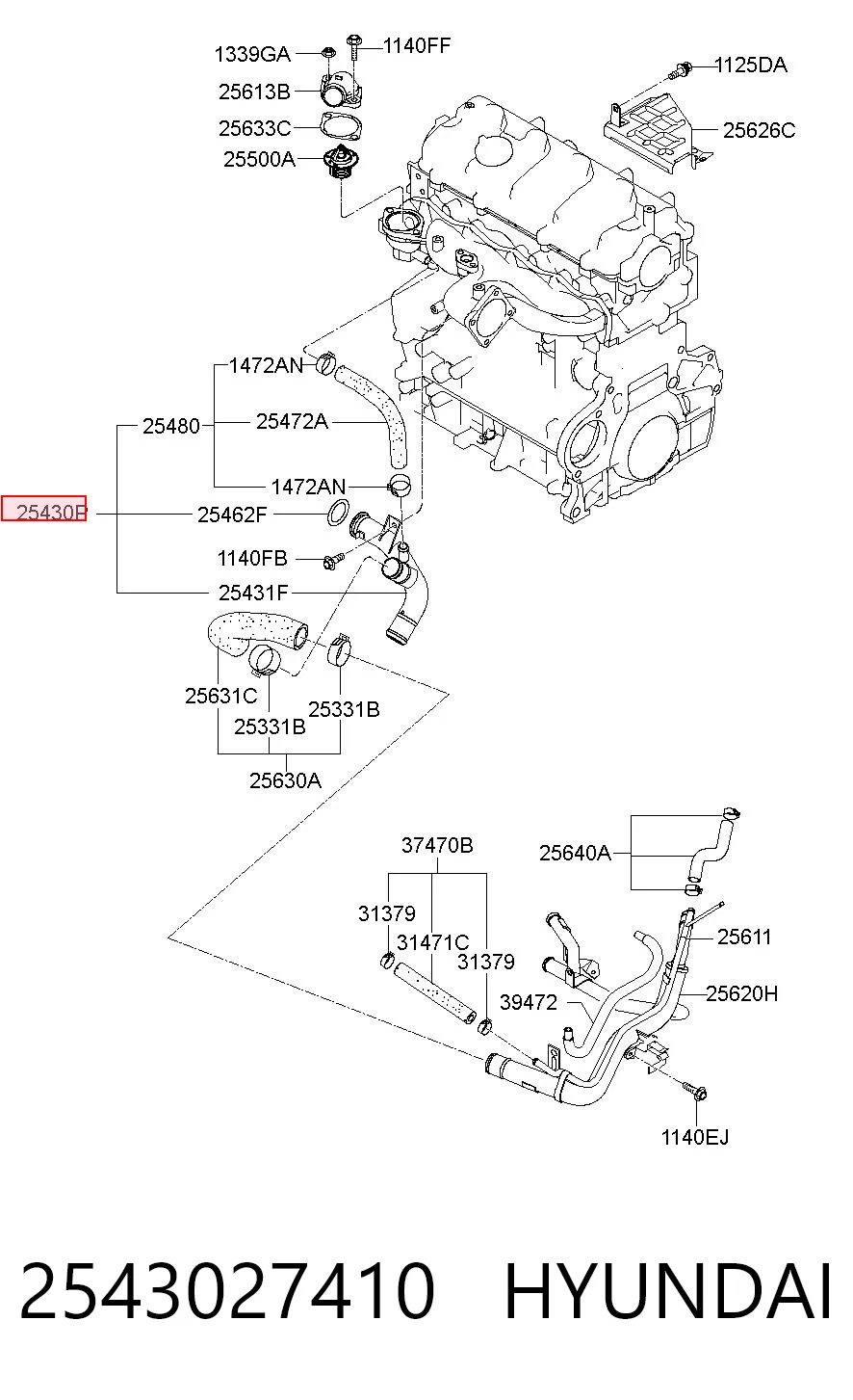 2543027410 Hyundai/Kia Manguera de refrigeración