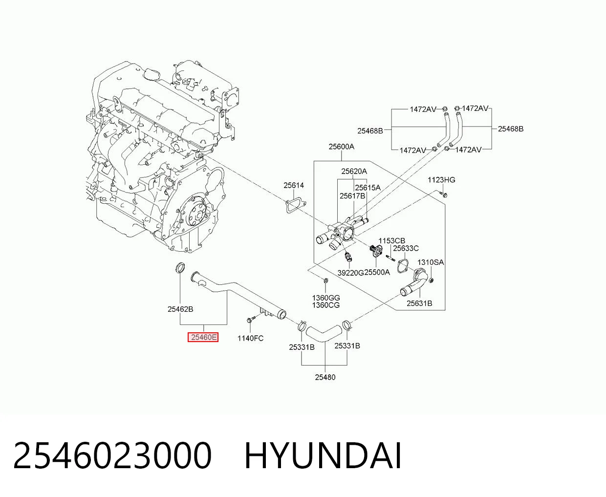 2546023000 Hyundai/Kia Manguera de admisión de la bomba de agua