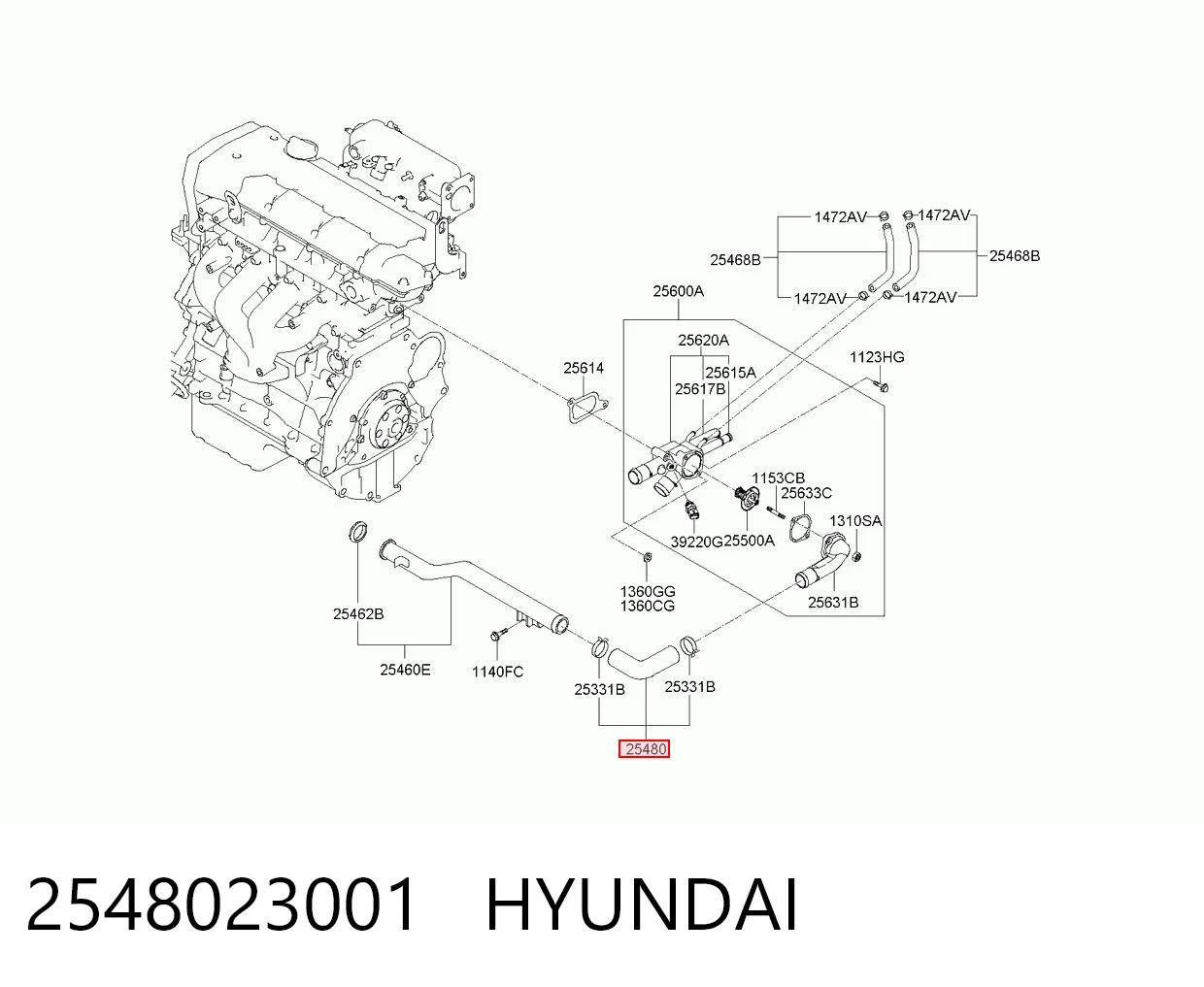 2548023001 Hyundai/Kia Manguera del termostato