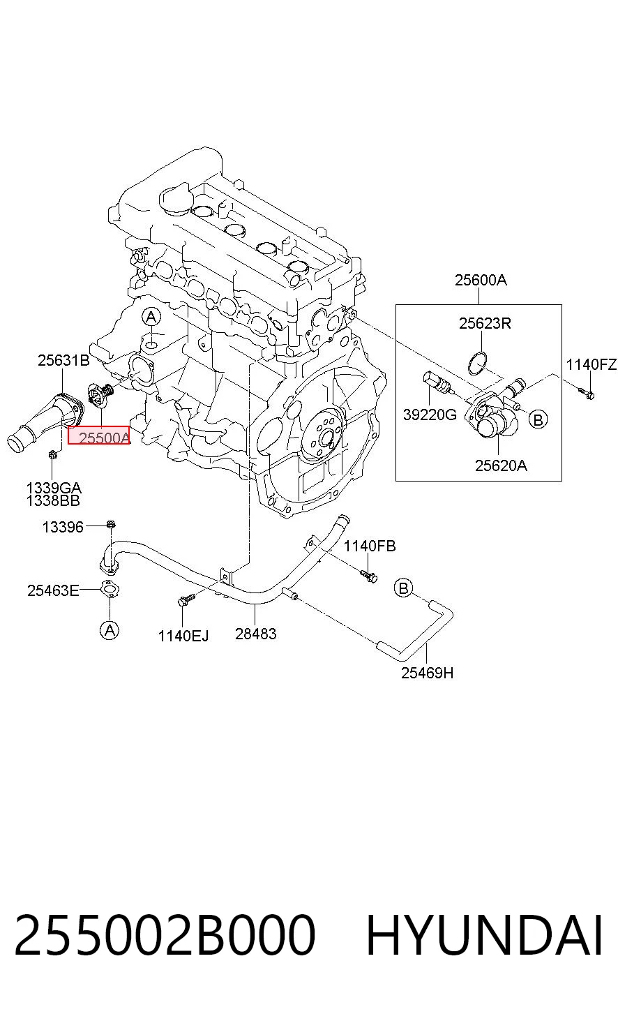 255002B000 Hyundai/Kia Termostato de agua