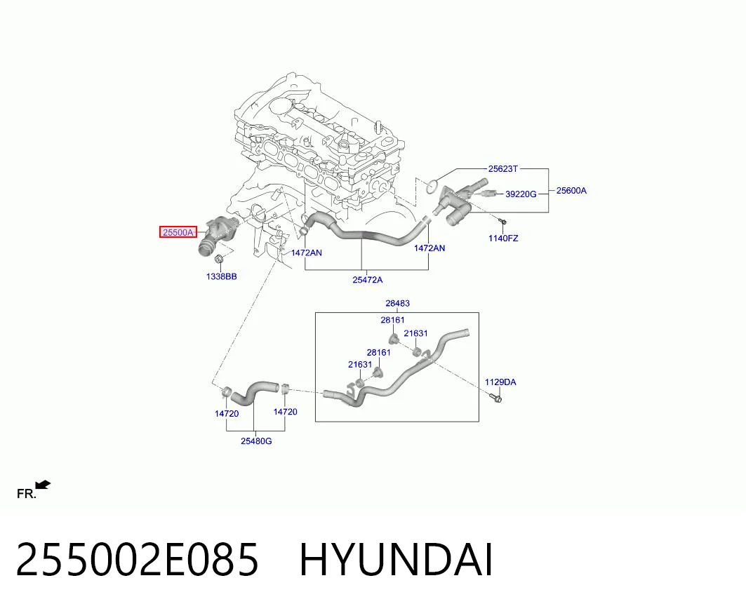255002E085 Hyundai/Kia Termostato de agua