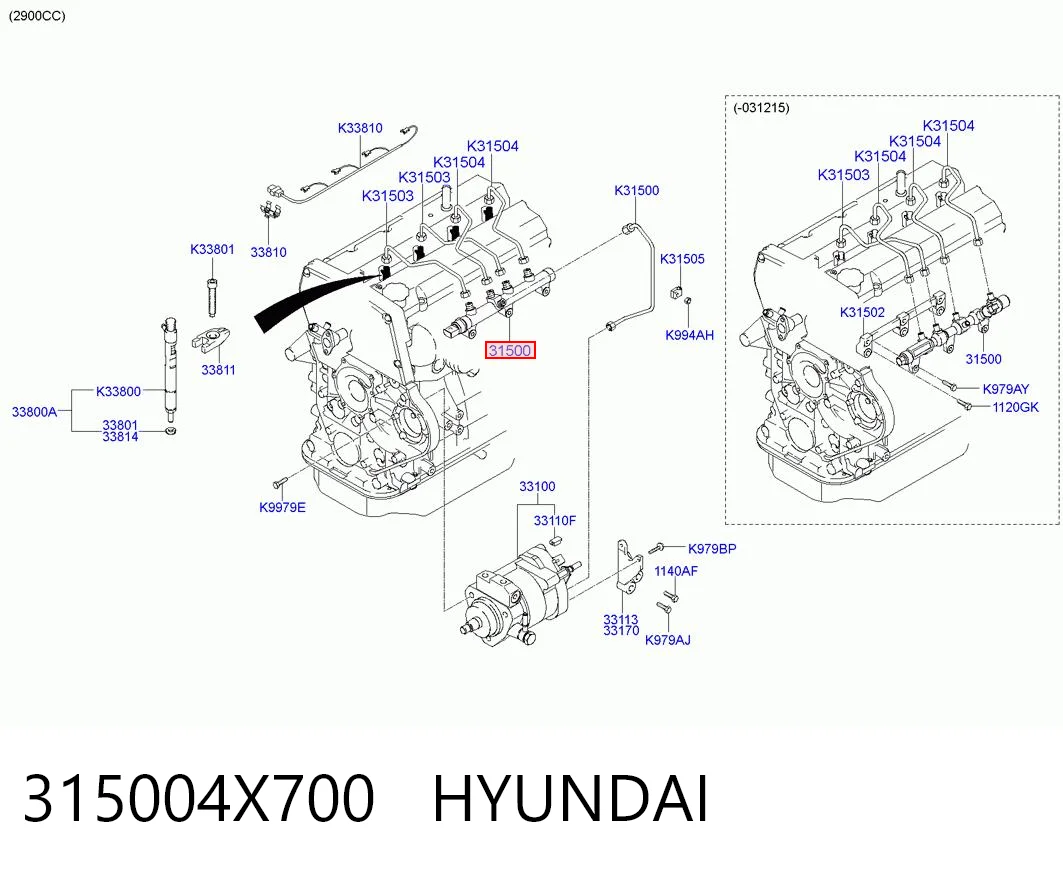 315004X700 Hyundai/Kia Rampa de combustible