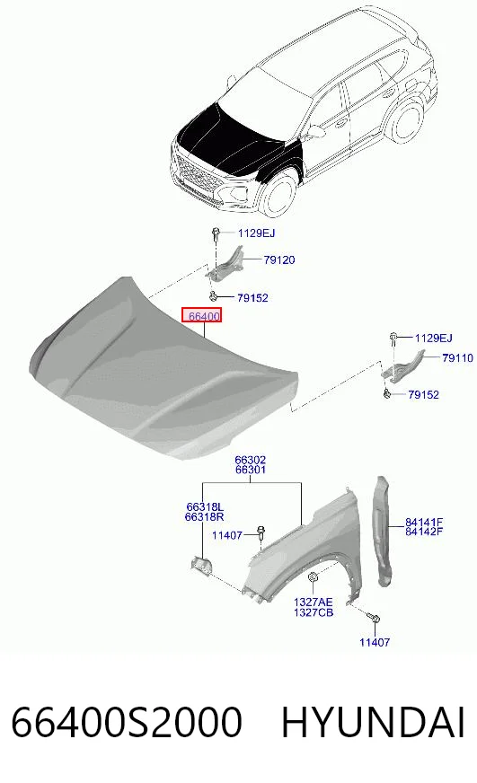 Capot Hyundai Santa Fe IV (TM, TMA)