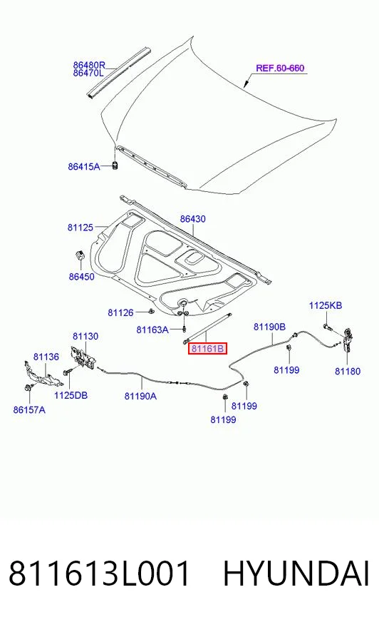 811613L001 Hyundai/Kia
