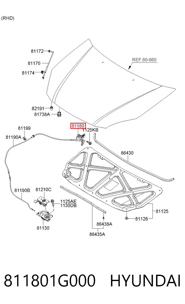 811801G000 Hyundai/Kia Palanca de apertura del capó