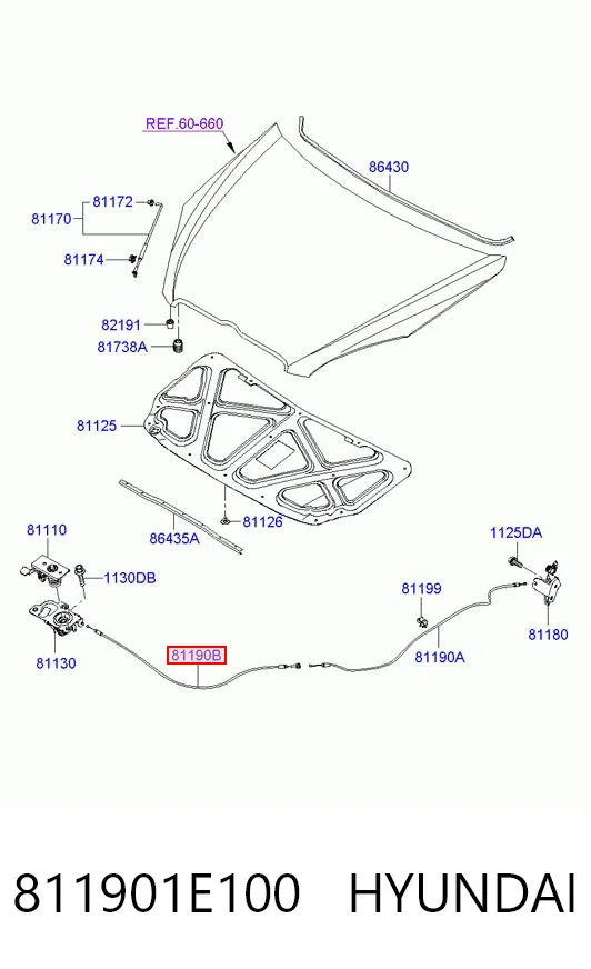 811901E100 Hyundai/Kia