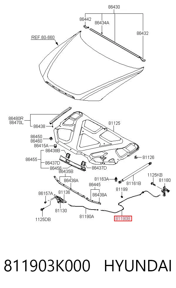 811903K000 Hyundai/Kia Cable de capó del motor