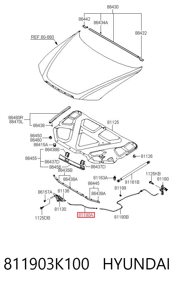811903K100 Hyundai/Kia Cable de apertura del capó delantero