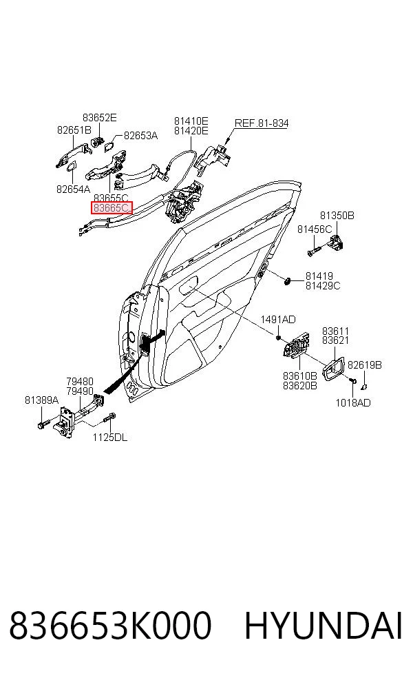 836653K000 Hyundai/Kia Manija exterior derecha de puerta trasera