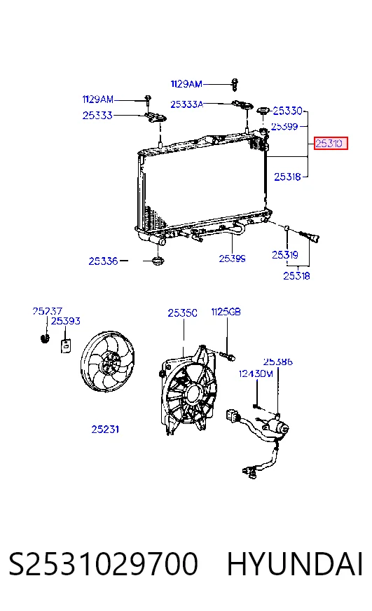 S2531029700 Hyundai/Kia
