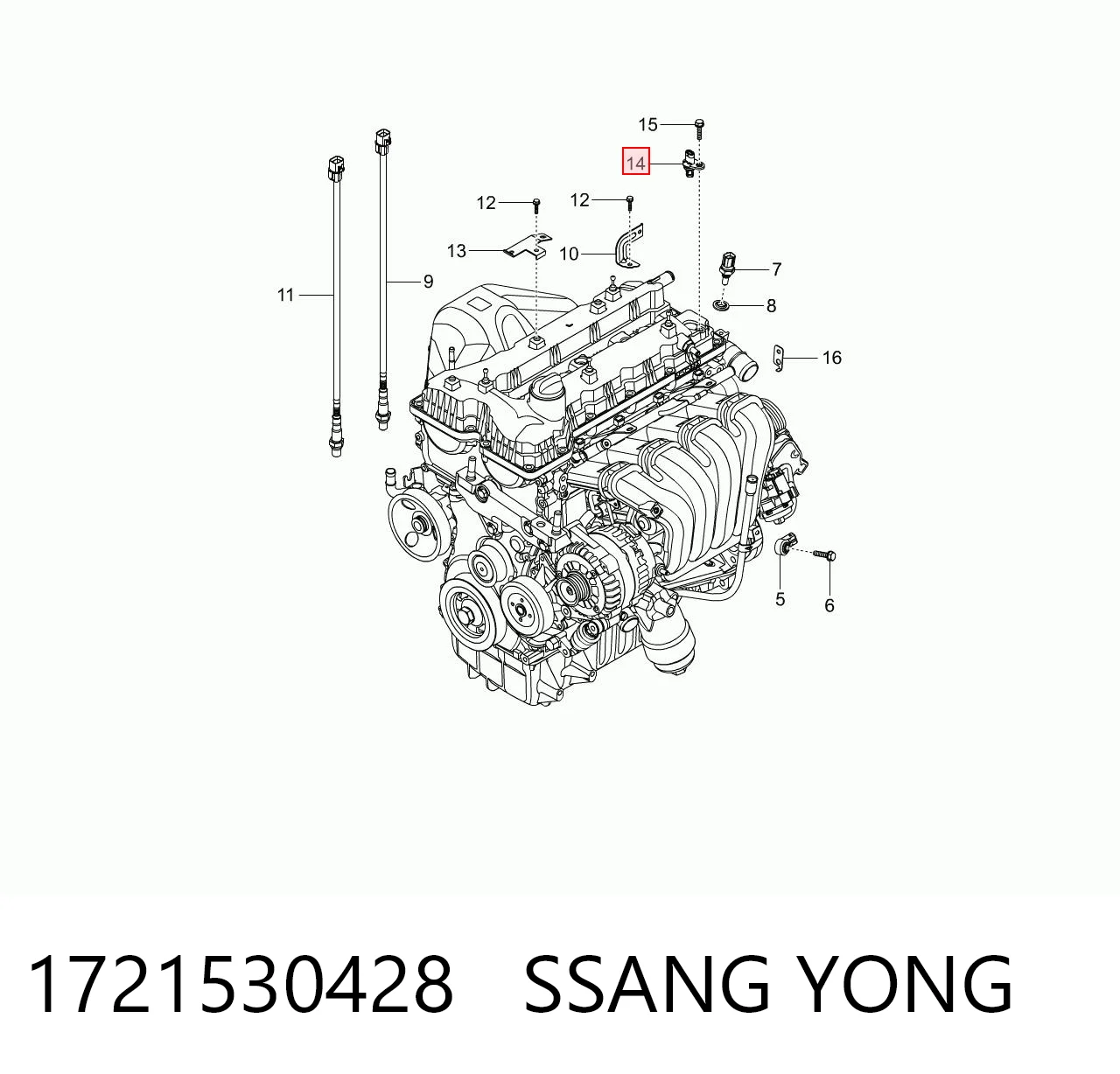 1721530428 Ssang Yong