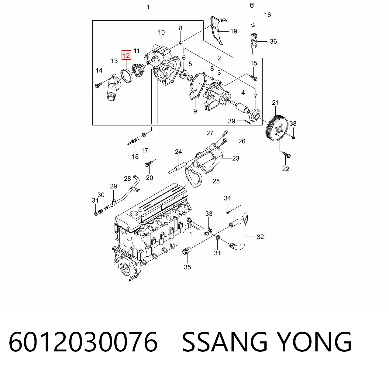 6012030076 Ssang Yong Junta termostato