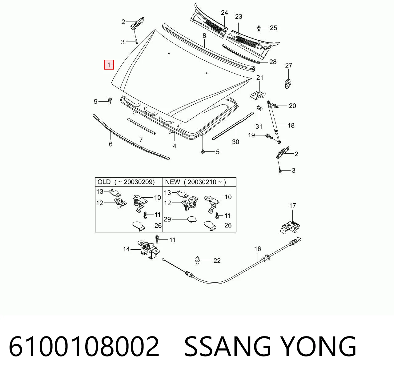 6100108002 Ssang Yong