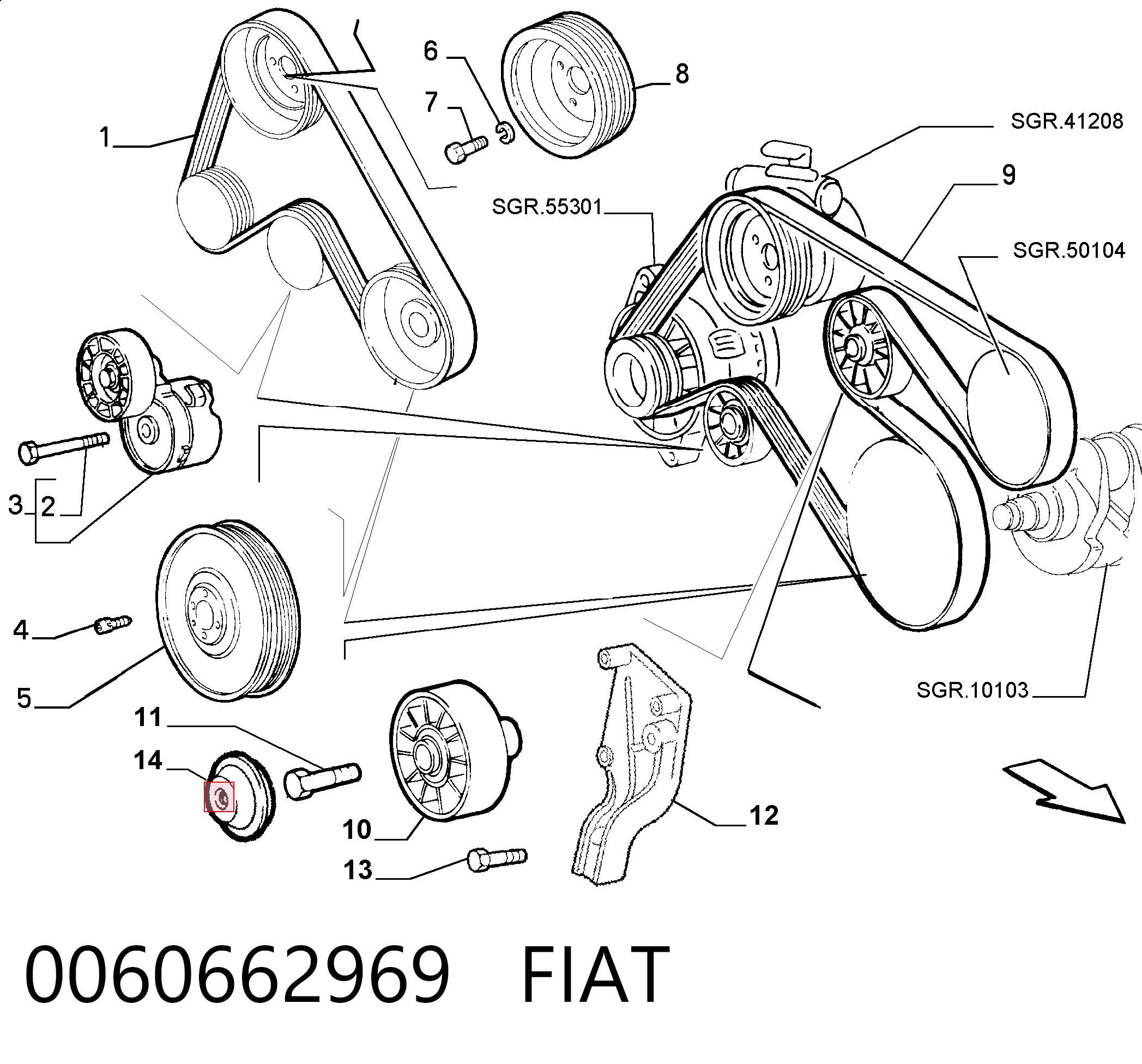 Correa de alternador para Fiat Doblo 223