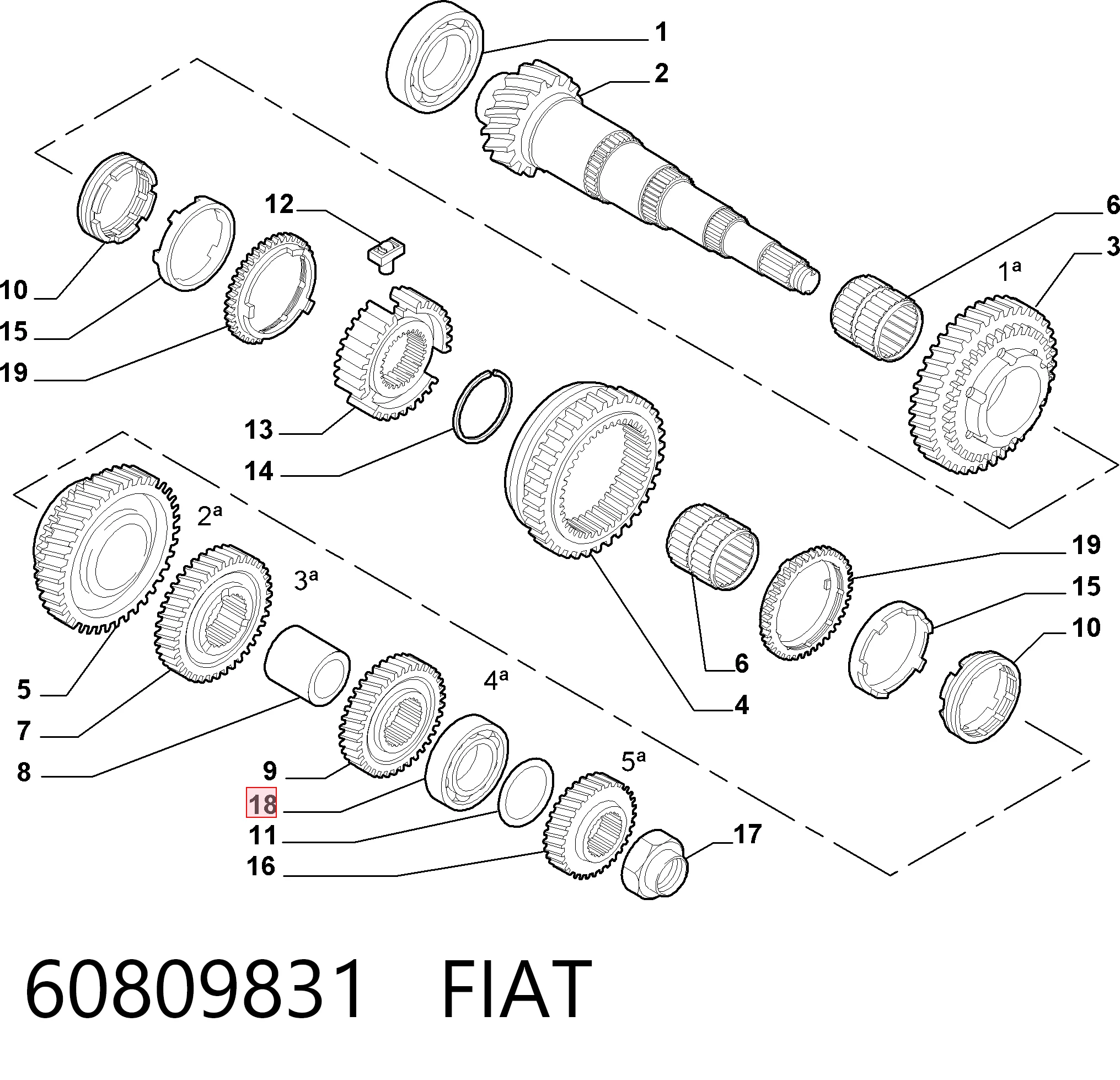Cojinete de la caja de cambios Fiat Doblo I