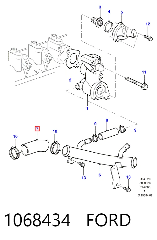  Manguera radiador Ford Focus 2
