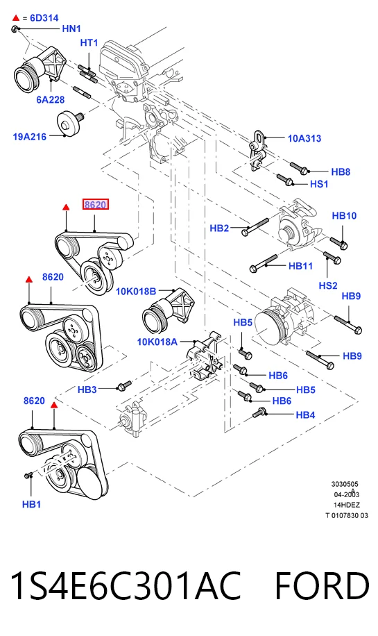 Correa de accesorios 1S4E6C301AC FORD