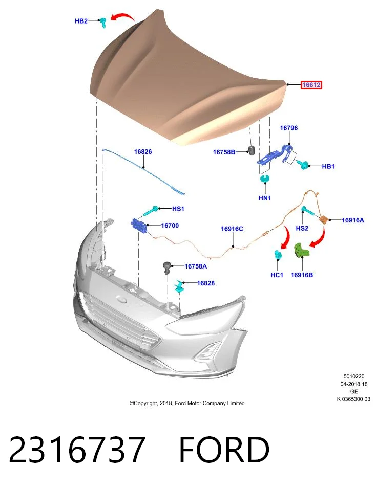 Capot Ford Focus IV