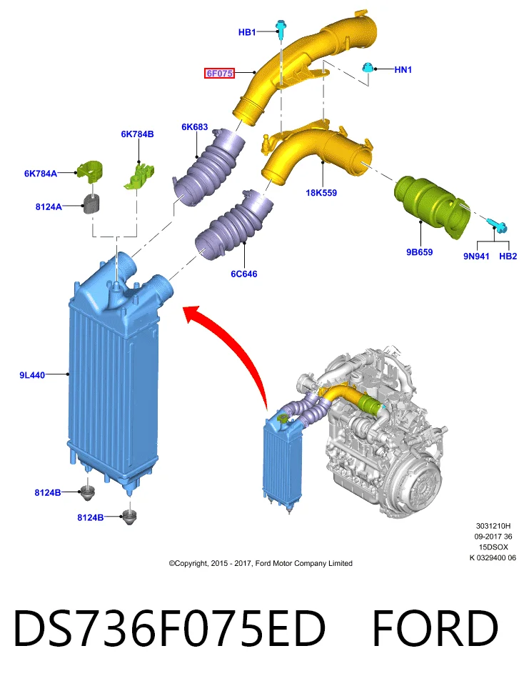 Manguera del intercooler DS736F075ED FORD