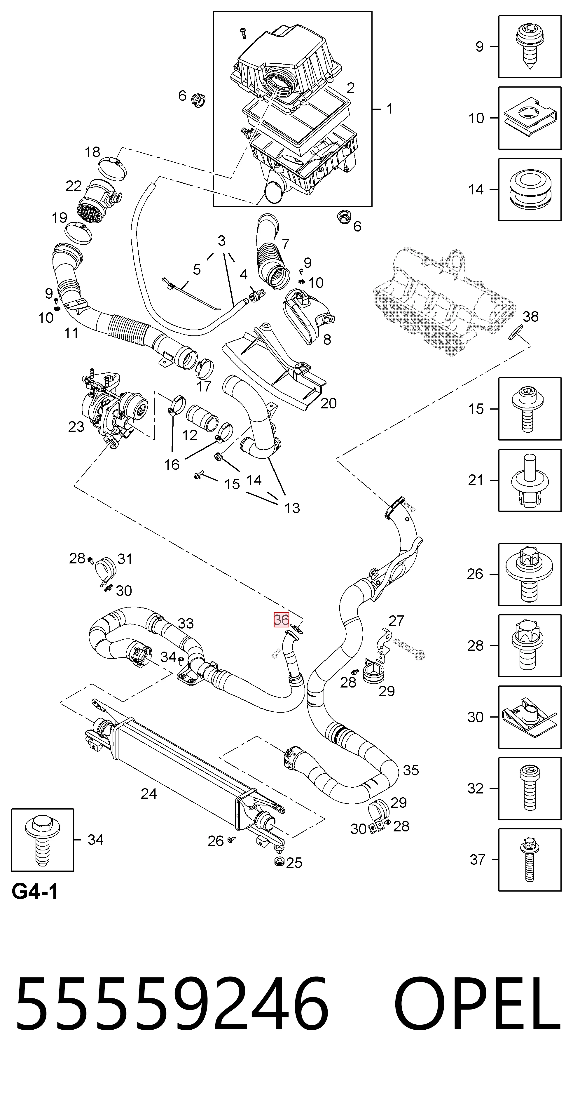 55559246 Opel
