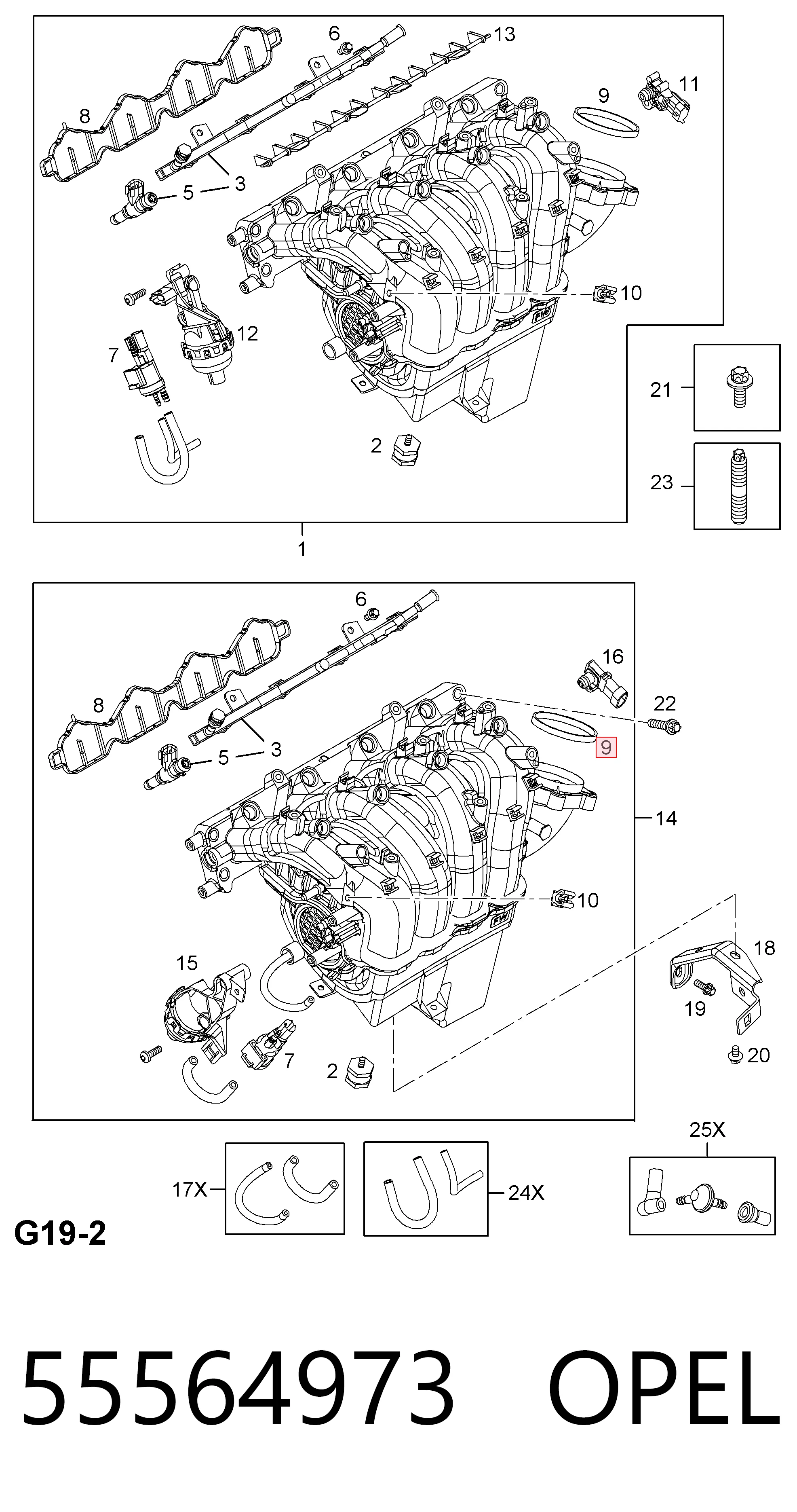 55564973 Opel
