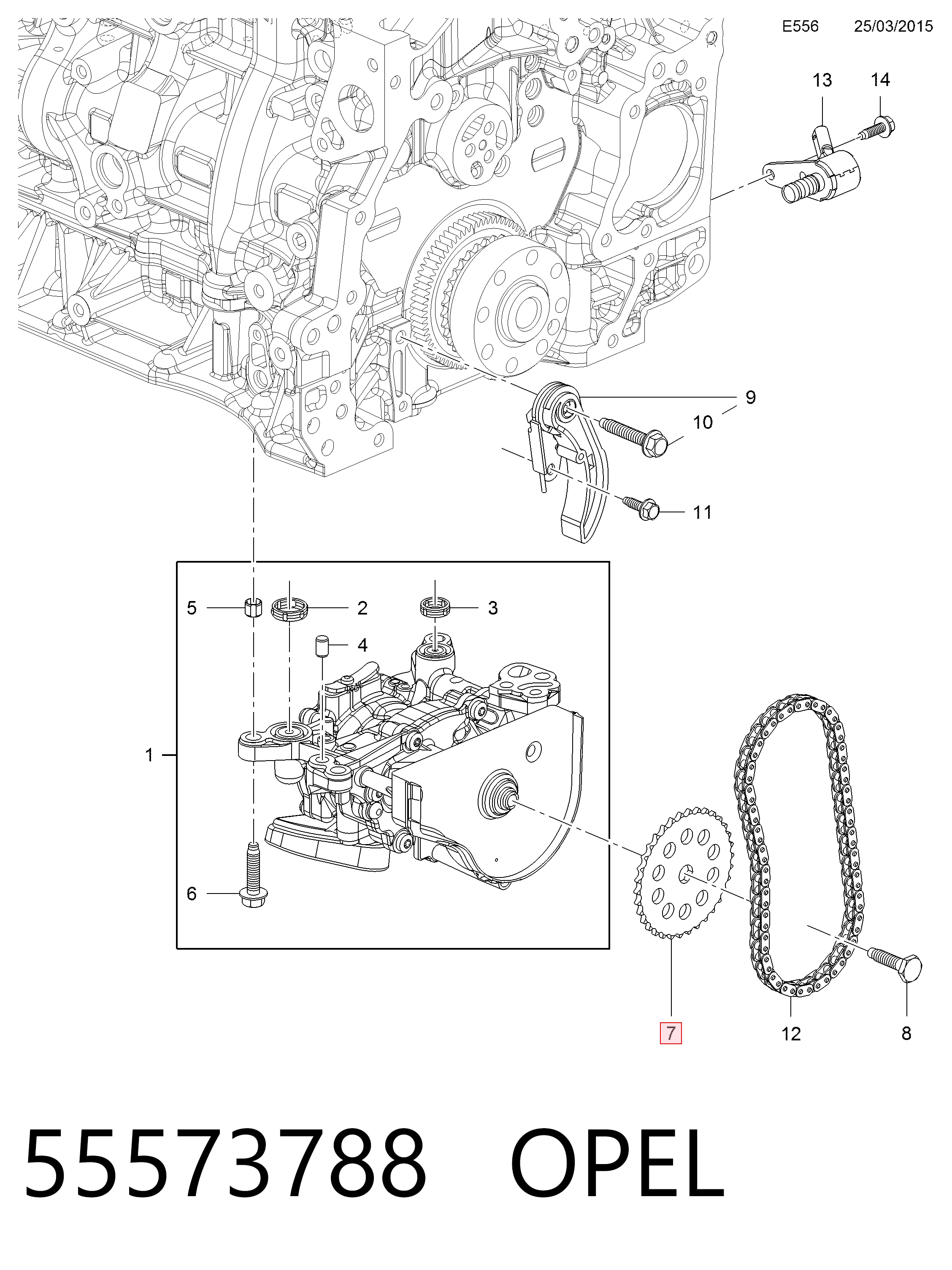 55573788 Opel