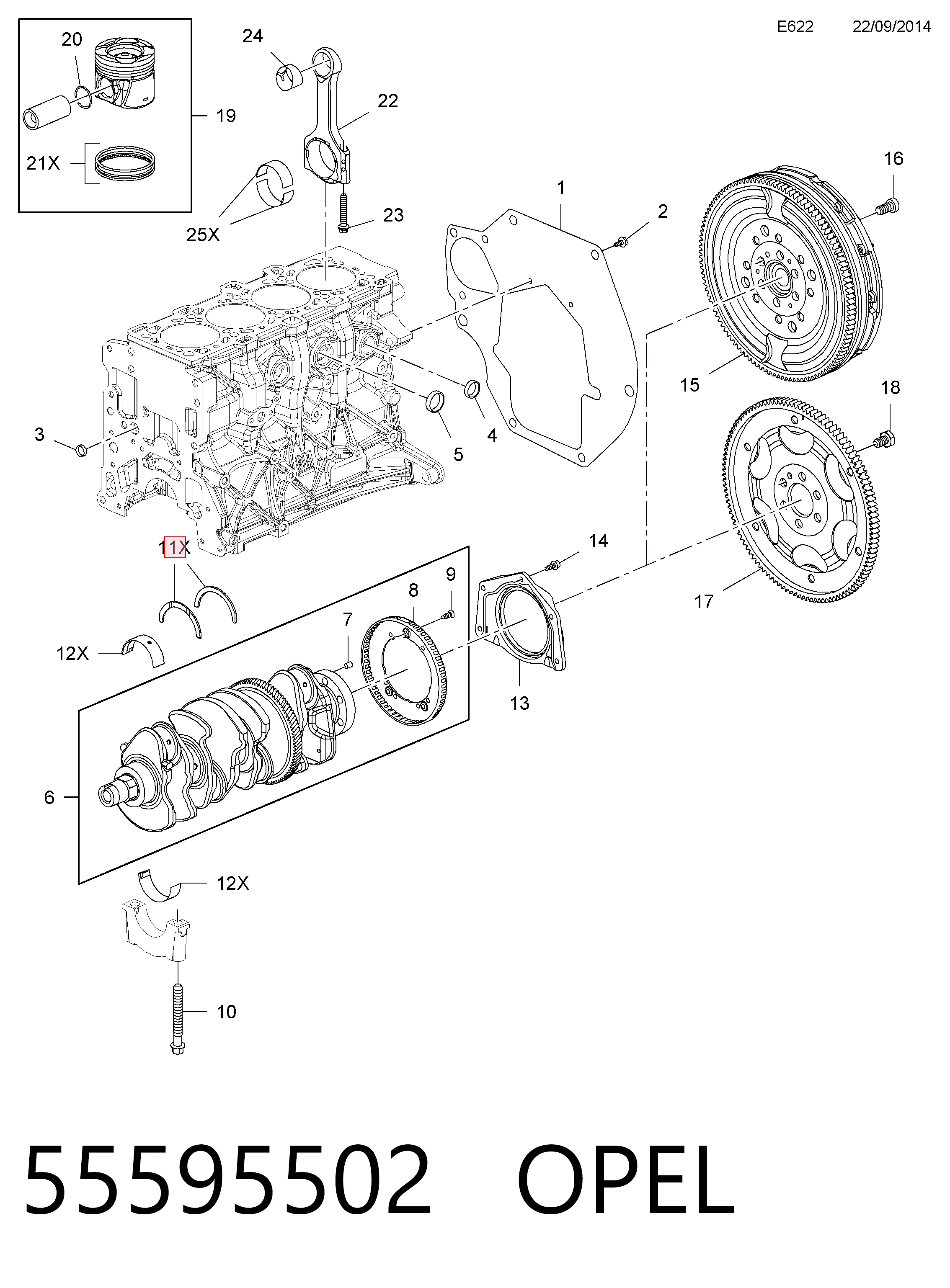 55595502 Opel