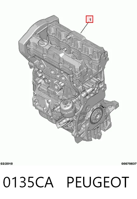 Motor completo para Citroen Berlingo  B9