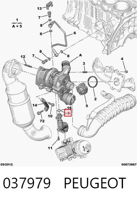 037979 Peugeot/Citroen Tubo de drenaje de aceite de turbocompresor