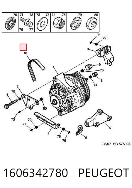 Correa alternador para Volkswagen Passat  (3B3)