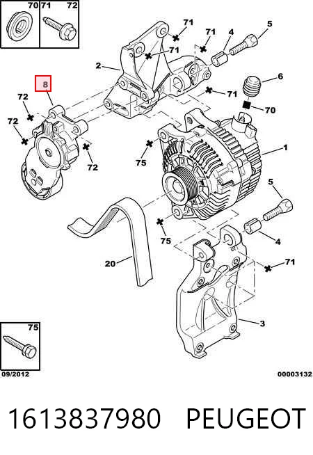 1613837980 Peugeot/Citroen