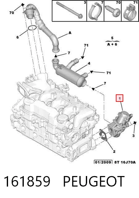 161859 Peugeot/Citroen Válvula EGR
