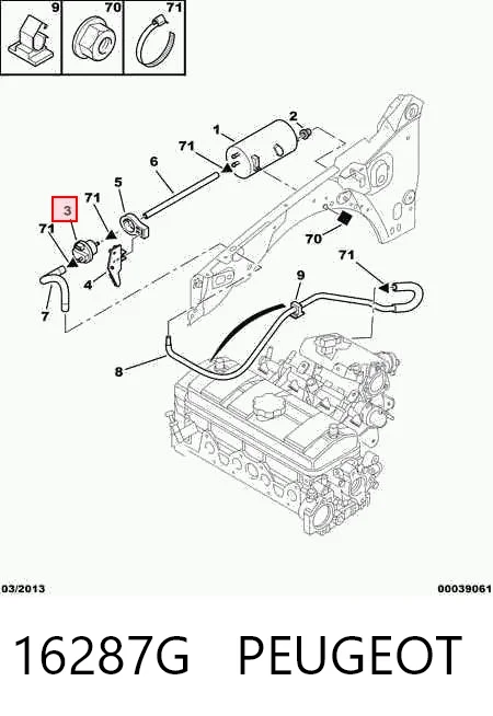 16287G Peugeot/Citroen Válvula de ventilación de gases del tanque de combustible
