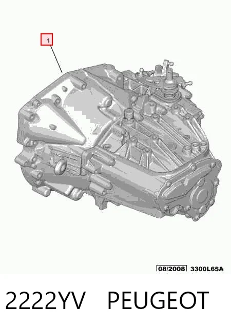  Caja de cambios Peugeot 407 