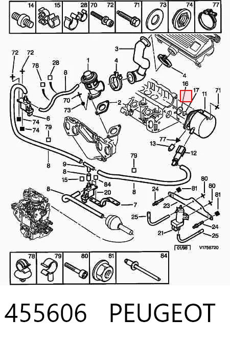 455606 Peugeot/Citroen