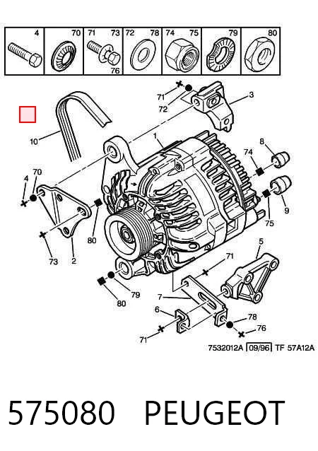 575080 Peugeot/Citroen Correa poly v
