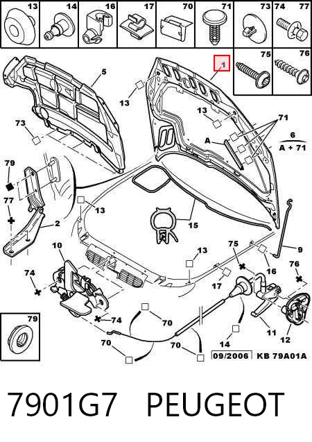 Capó delantero Peugeot 206  (2002-2006)
