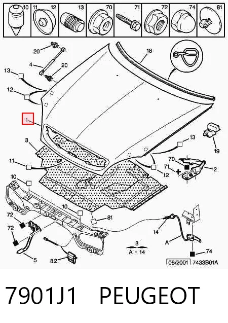 Capó para Citroen Xsara N1