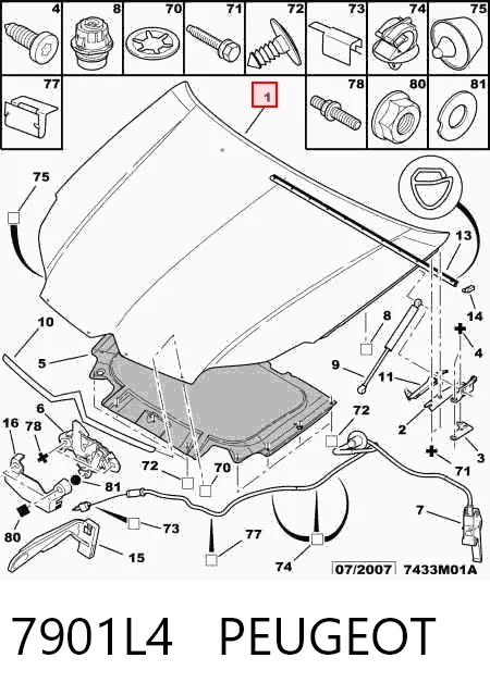 Comprar Capó Citroen C5 II RC