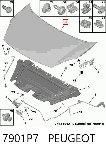 Comprar Capot Berlingo  B9