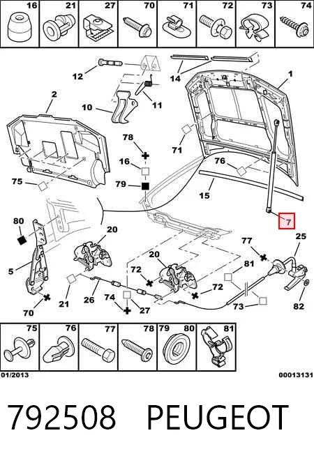 Muelle neumático, tapa delantera Peugeot 406 desde 16,15 €