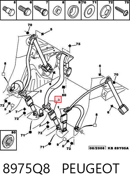 8975Q8 Peugeot/Citroen