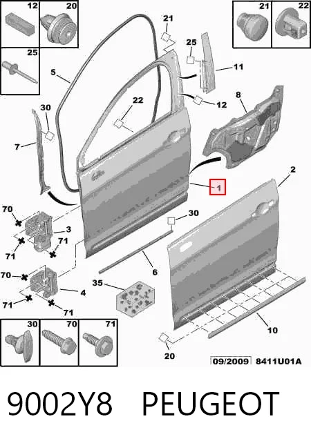 Puerta delantera para Citroen C5 II RC