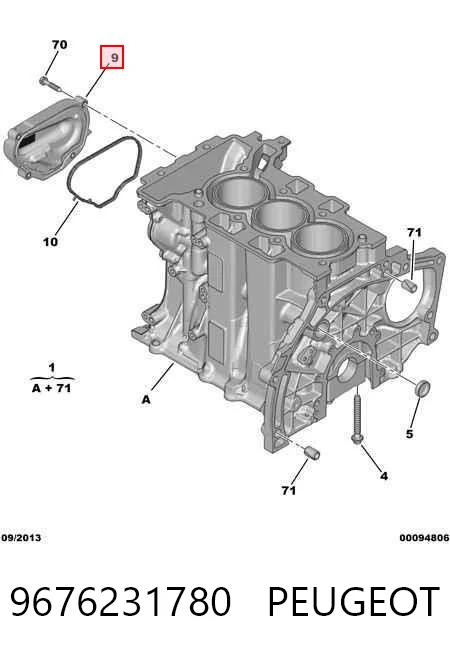 9676231780 Peugeot/Citroen