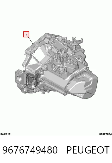 9676749480 Peugeot/Citroen