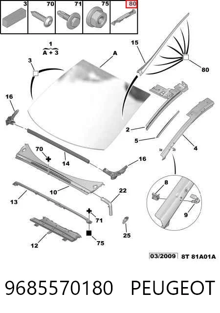9685570180 Peugeot/Citroen Clip de fijación de moldura de parabrisas