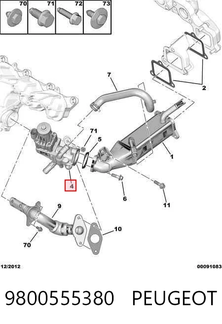 9800555380 Peugeot/Citroen