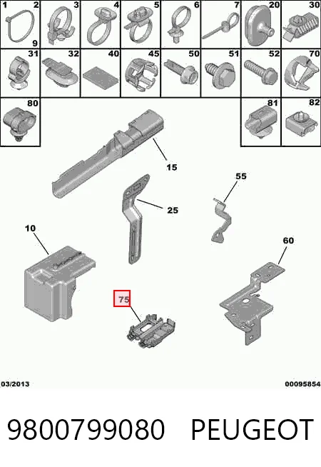 9800799080 Peugeot/Citroen