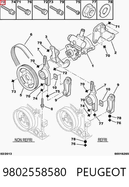 9802558580 Peugeot/Citroen